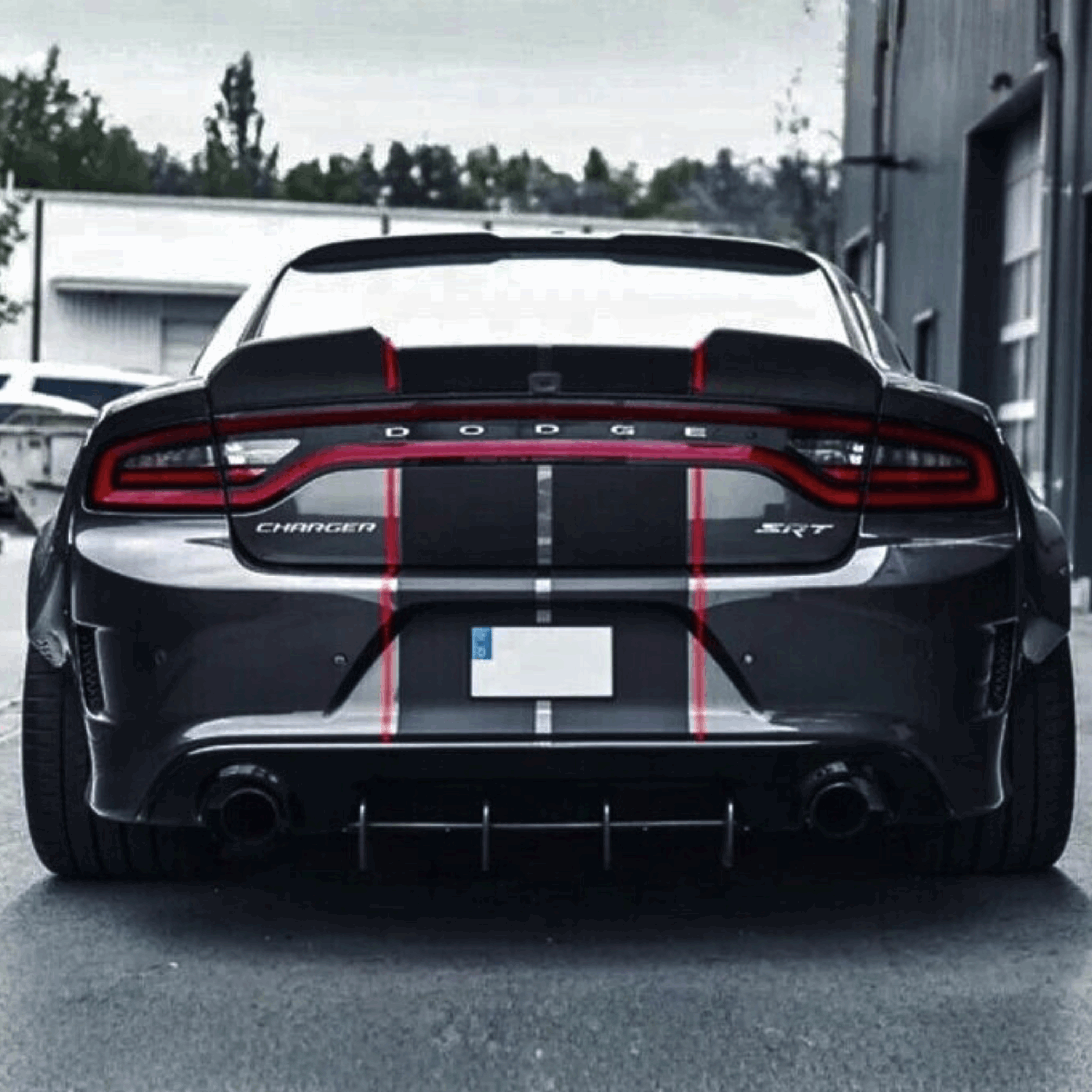 15-23 Carbon Fiber Ducktail