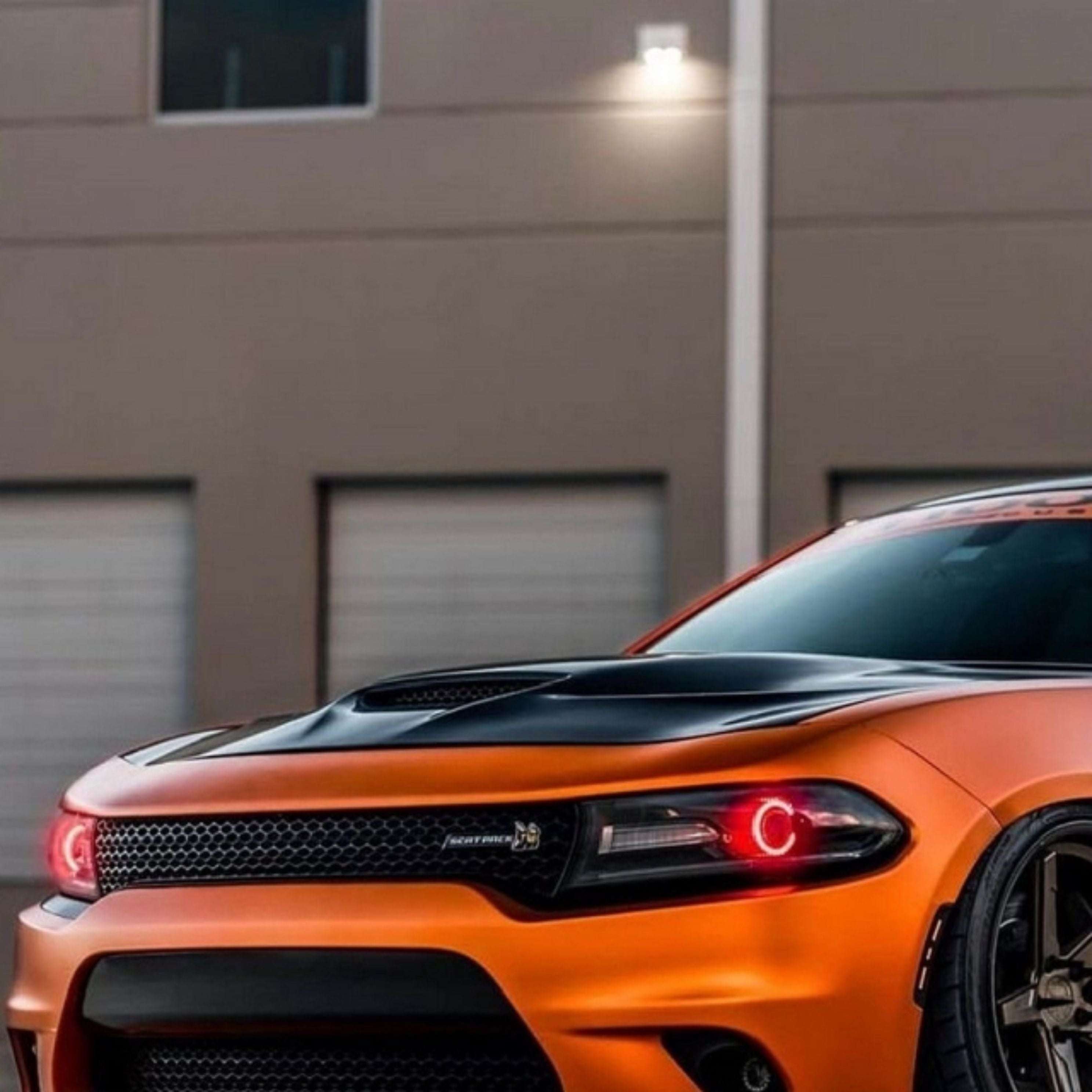 2015-2024 PROJECTOR HALO KIT (Flow Series)